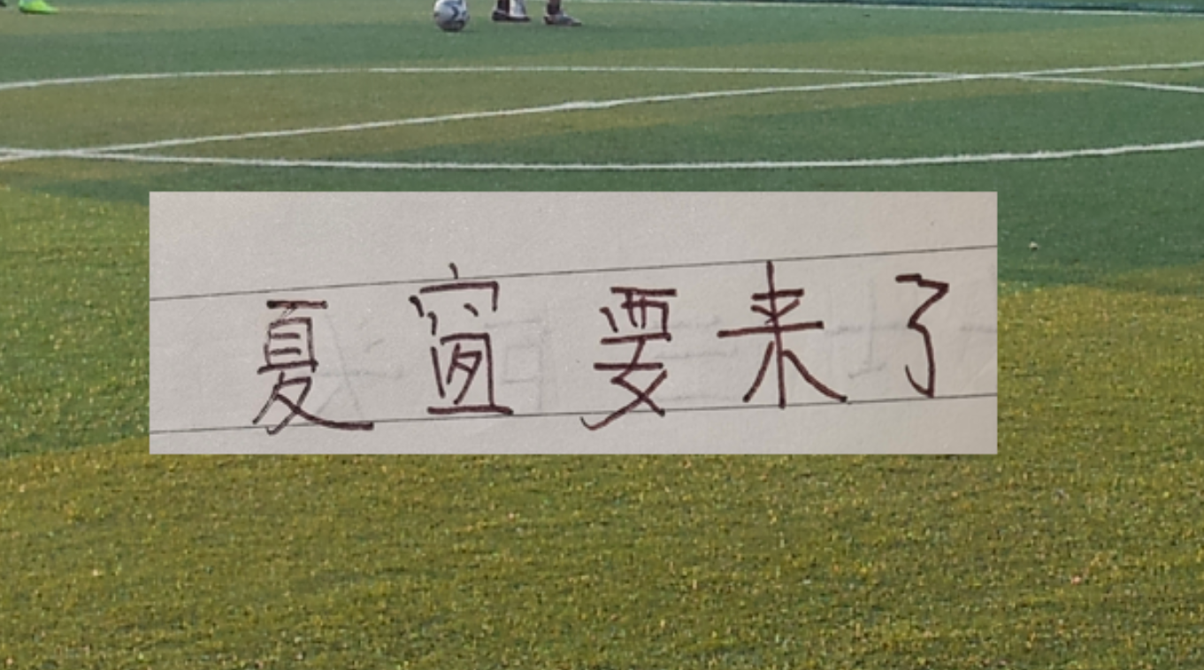 绿军死忠夸尼克斯怒喷闹事球迷
